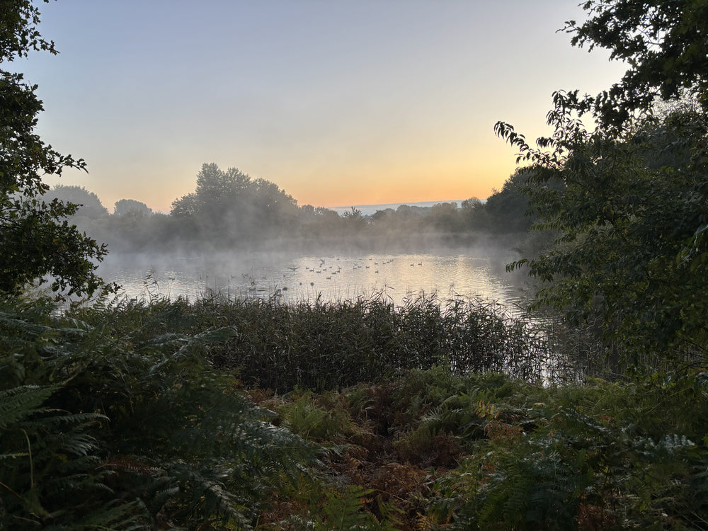 Naturfoto aus Aukrug: Nebel über einem Teich bei Sonnenaufgang – Vorlage für die Gravur