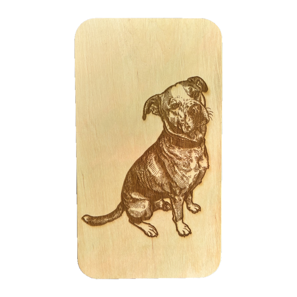 Hund aus der Nachbarschaft